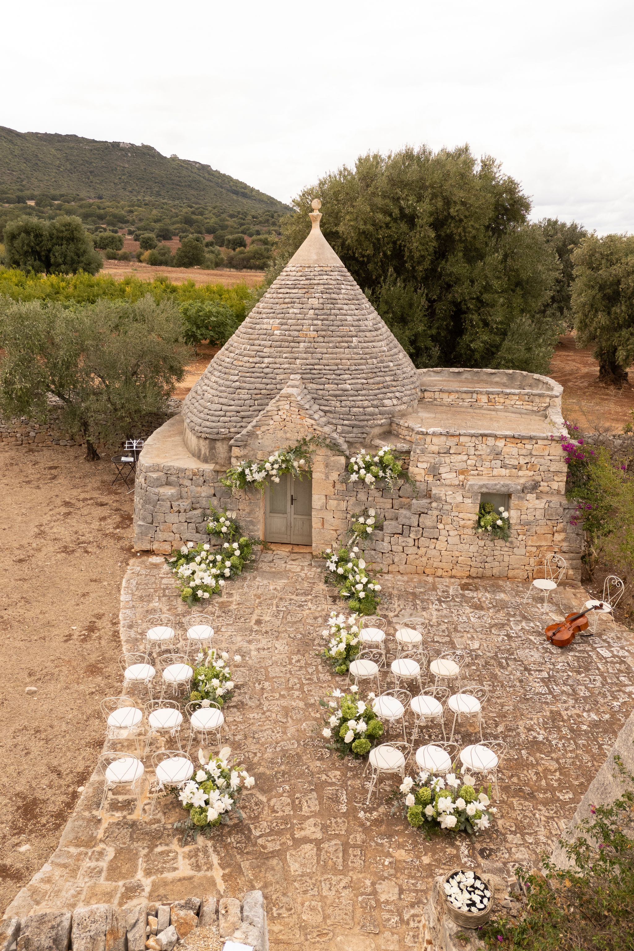 Vera & Todd's Wedding
